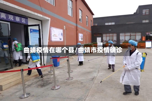 曲靖疫情在哪个县/曲靖市疫情确诊-第3张图片