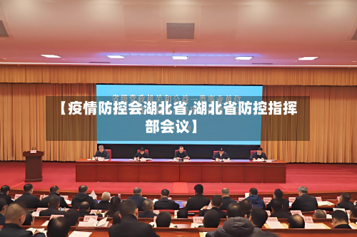 【疫情防控会湖北省,湖北省防控指挥部会议】-第3张图片