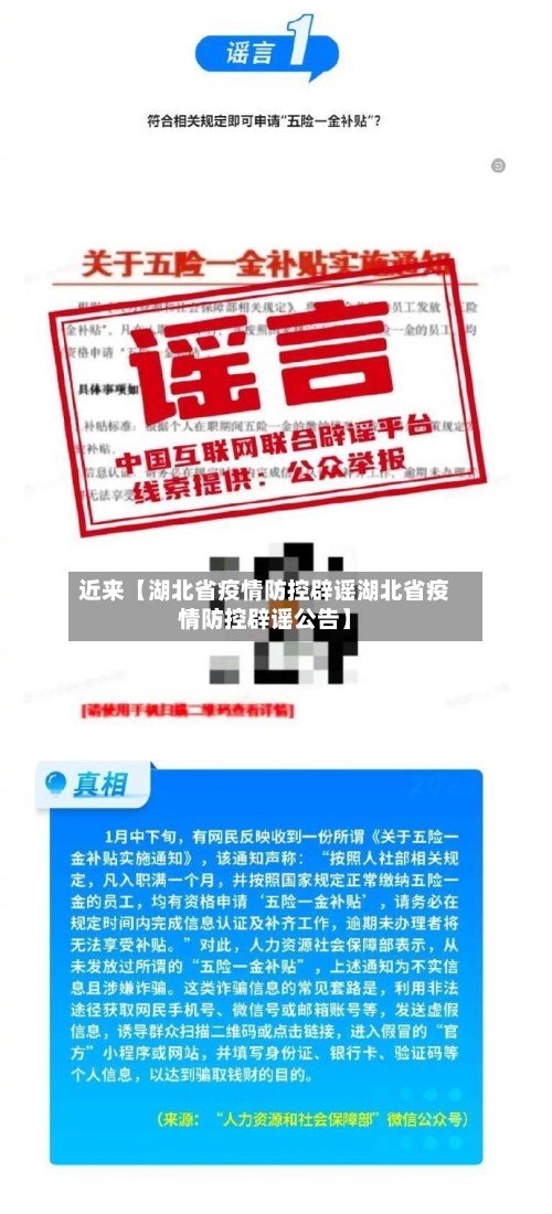 近来【湖北省疫情防控辟谣湖北省疫情防控辟谣公告】-第2张图片