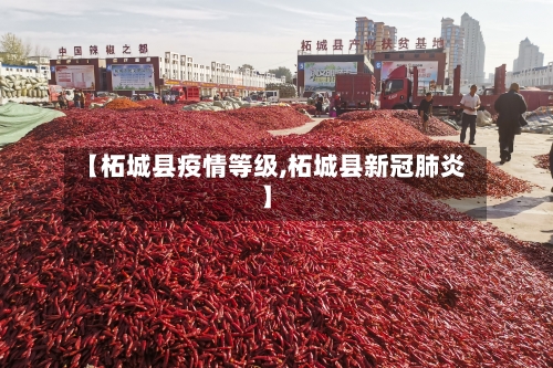 【柘城县疫情等级,柘城县新冠肺炎】-第2张图片