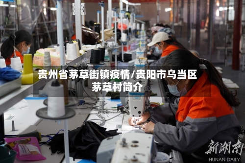 贵州省茅草街镇疫情/贵阳市乌当区茅草村简介