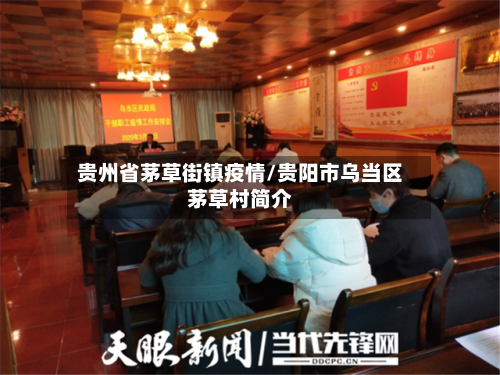 贵州省茅草街镇疫情/贵阳市乌当区茅草村简介-第2张图片