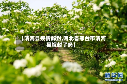 【清河县疫情解封,河北省邢台市清河县解封了吗】-第3张图片