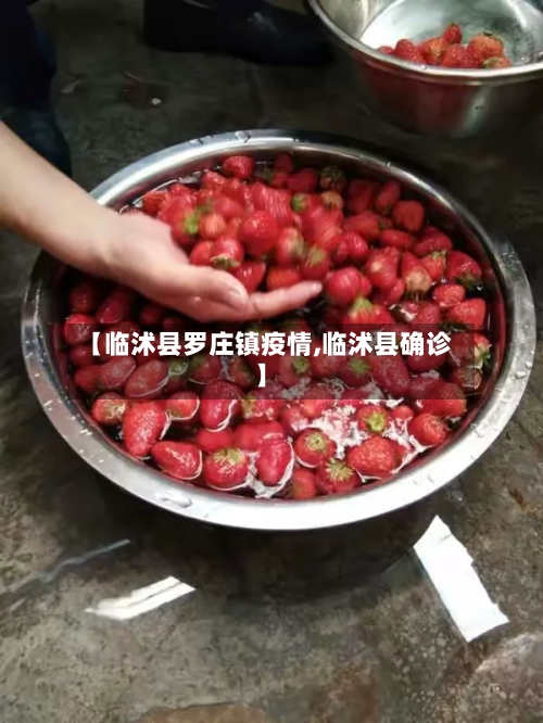 【临沭县罗庄镇疫情,临沭县确诊】-第2张图片