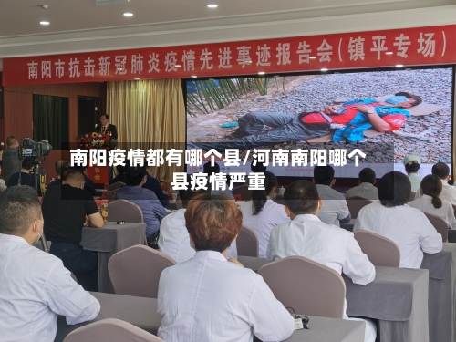 南阳疫情都有哪个县/河南南阳哪个县疫情严重-第2张图片