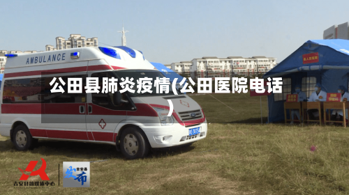公田县肺炎疫情(公田医院电话)-第3张图片