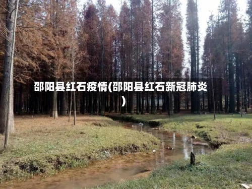 邵阳县红石疫情(邵阳县红石新冠肺炎)-第2张图片