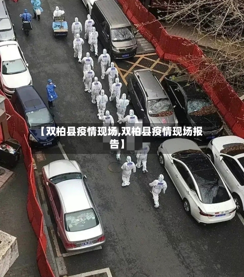 【双柏县疫情现场,双柏县疫情现场报告】