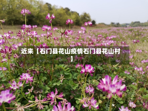 近来【石门县花山疫情石门县花山村】
