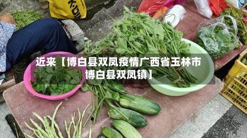 近来【博白县双凤疫情广西省玉林市博白县双凤镇】-第3张图片