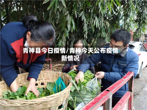 青神县今日疫情/青神今天公布疫情新情况