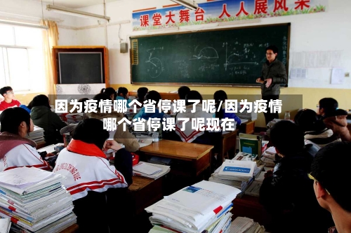 因为疫情哪个省停课了呢/因为疫情哪个省停课了呢现在