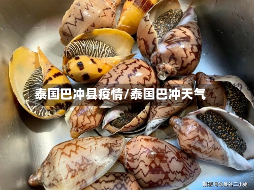 泰国巴冲县疫情/泰国巴冲天气