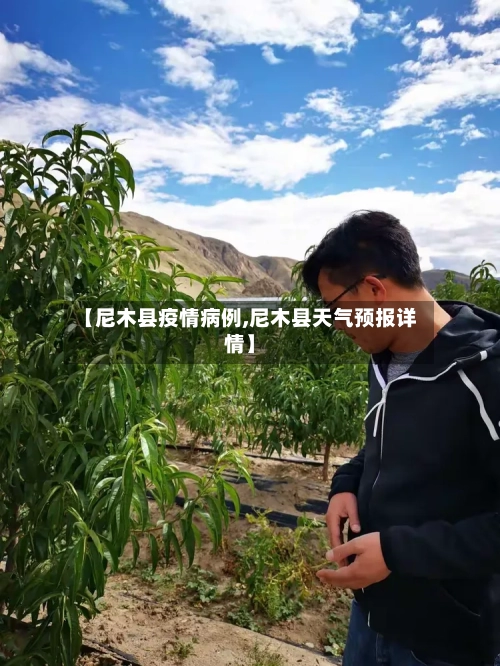 【尼木县疫情病例,尼木县天气预报详情】