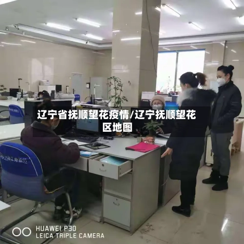 辽宁省抚顺望花疫情/辽宁抚顺望花区地图