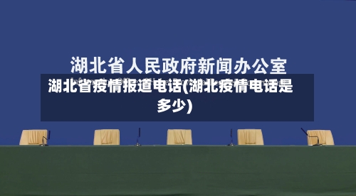 湖北省疫情报道电话(湖北疫情电话是多少)-第3张图片