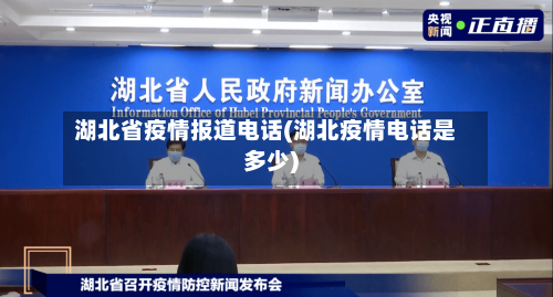 湖北省疫情报道电话(湖北疫情电话是多少)-第2张图片
