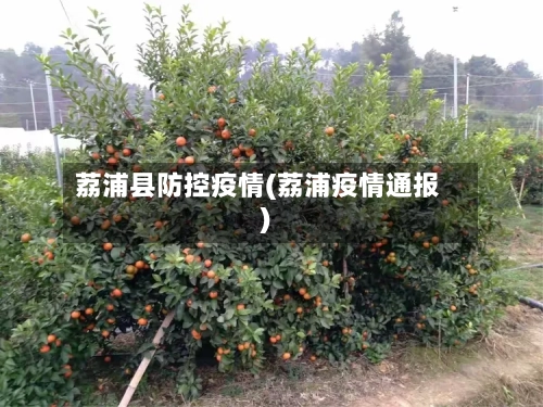 荔浦县防控疫情(荔浦疫情通报)