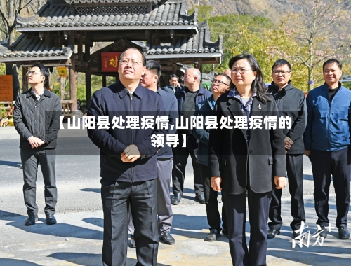 【山阳县处理疫情,山阳县处理疫情的领导】-第2张图片