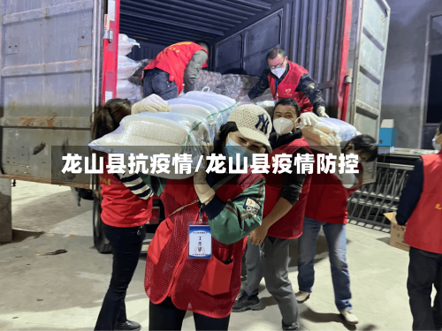 龙山县抗疫情/龙山县疫情防控-第2张图片