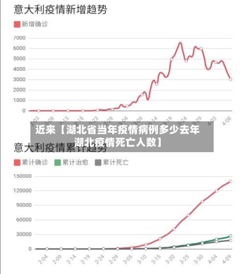 近来【湖北省当年疫情病例多少去年湖北疫情死亡人数】-第3张图片