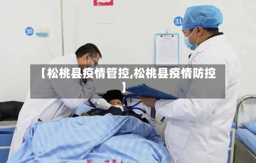 【松桃县疫情管控,松桃县疫情防控】-第3张图片