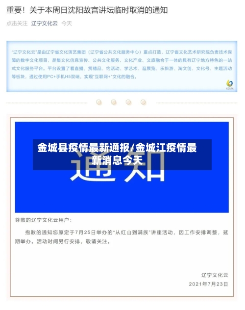 金城县疫情最新通报/金城江疫情最新消息今天-第2张图片