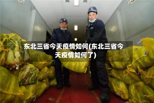 东北三省今天疫情如何(东北三省今天疫情如何了)