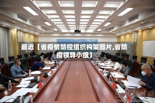 最近【省疫情防控组织构架图片,省防疫领导小组】
