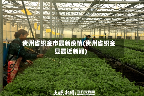 贵州省织金市最新疫情(贵州省织金县最近新闻)