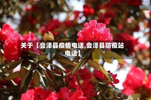 关于【会泽县疫情电话,会泽县防疫站电话】