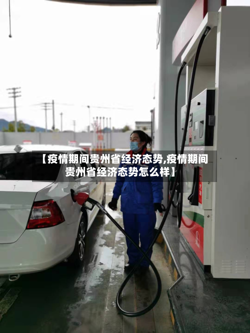 【疫情期间贵州省经济态势,疫情期间贵州省经济态势怎么样】-第2张图片