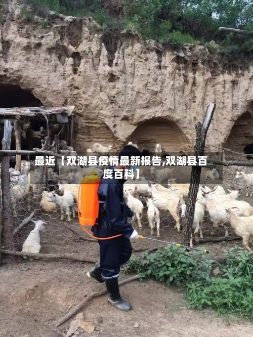 最近【双湖县疫情最新报告,双湖县百度百科】-第2张图片
