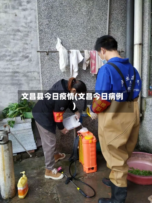 文昌县今日疫情(文昌今日病例)-第2张图片