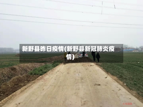 新野县昨日疫情(新野县新冠肺炎疫情)-第2张图片