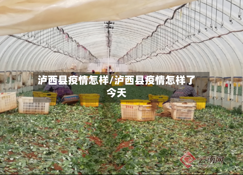 泸西县疫情怎样/泸西县疫情怎样了今天
