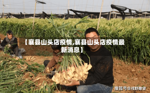 【襄县山头店疫情,襄县山头店疫情最新消息】