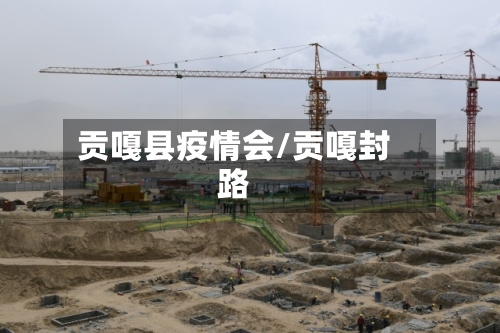 贡嘎县疫情会/贡嘎封路-第3张图片