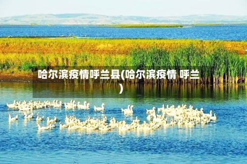 哈尔滨疫情呼兰县(哈尔滨疫情 呼兰)-第2张图片