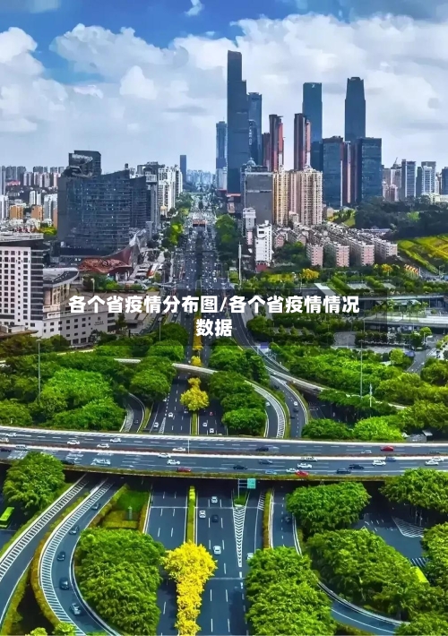 各个省疫情分布图/各个省疫情情况数据