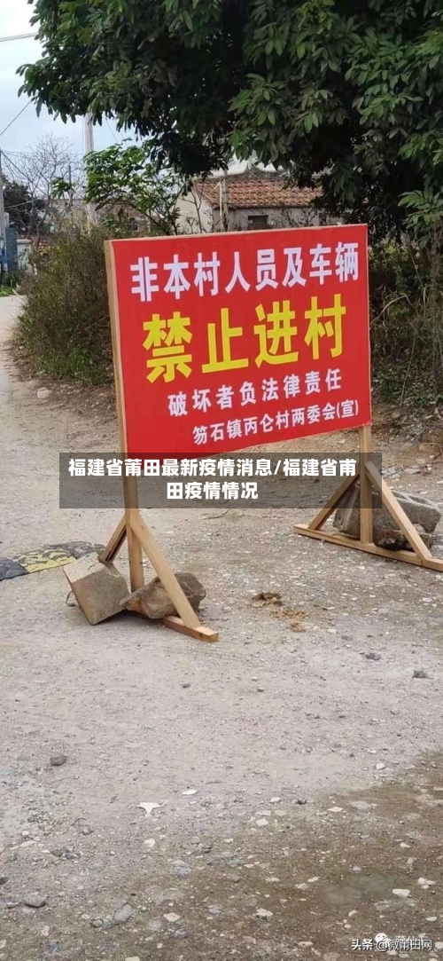 福建省莆田最新疫情消息/福建省甫田疫情情况-第2张图片