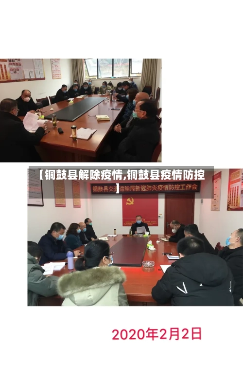 【铜鼓县解除疫情,铜鼓县疫情防控】