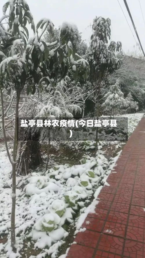 盐亭县林农疫情(今日盐亭县)