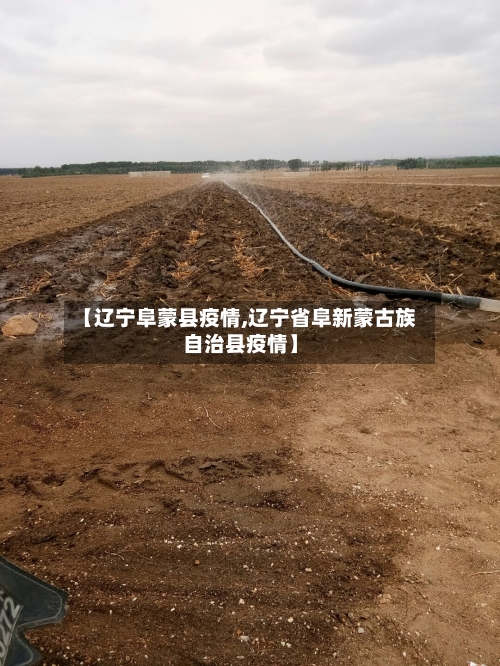 【辽宁阜蒙县疫情,辽宁省阜新蒙古族自治县疫情】-第2张图片