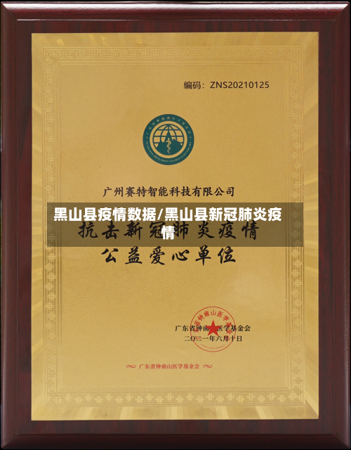黑山县疫情数据/黑山县新冠肺炎疫情-第2张图片