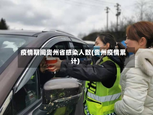 疫情期间贵州省感染人数(贵州疫情累计)-第3张图片