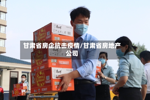 甘肃省房企抗击疫情/甘肃省房地产公司