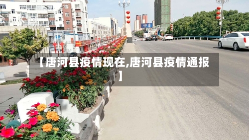 【唐河县疫情现在,唐河县疫情通报】-第2张图片
