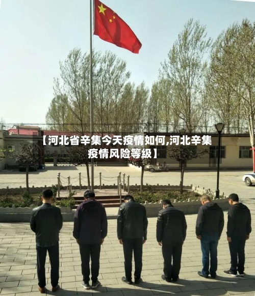【河北省辛集今天疫情如何,河北辛集疫情风险等级】-第3张图片