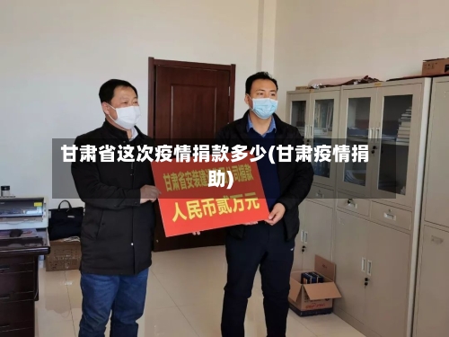 甘肃省这次疫情捐款多少(甘肃疫情捐助)-第2张图片